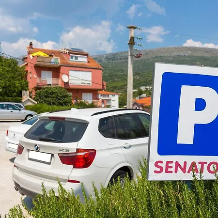 Senator