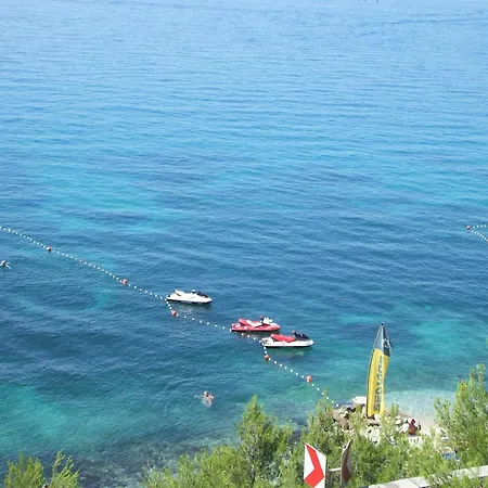 ゲストハウス Senator