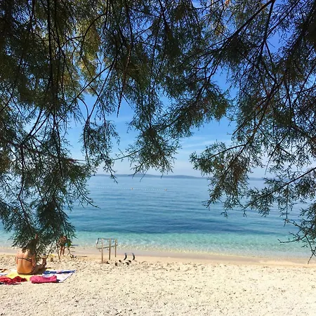 بيت ضيافة Senator